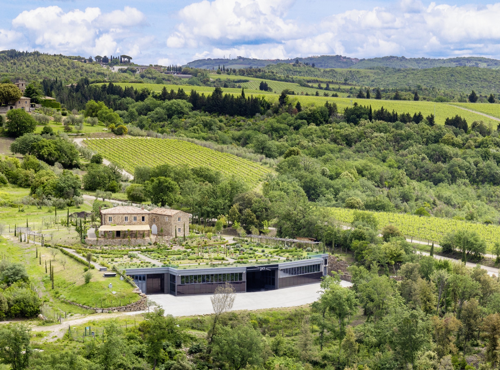 Tenuta Luce